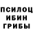 Псилоцибиновые грибы мицелий Svetlana Martova