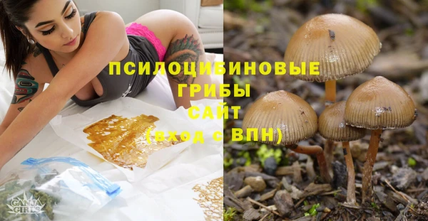 mix Абаза