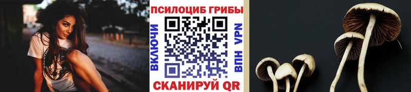 Галлюциногенные грибы мицелий  Тула 